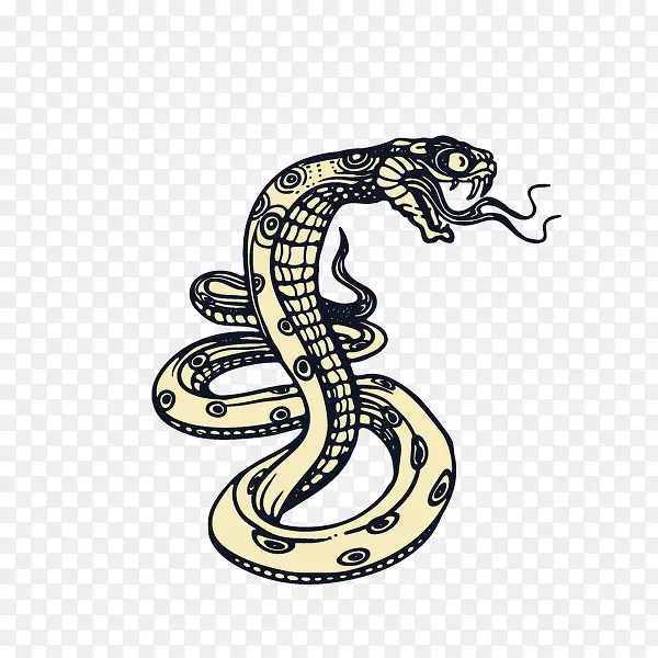 ���� ��-������