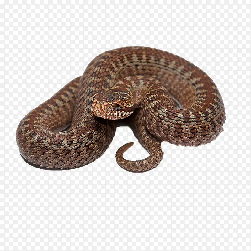 ����-������