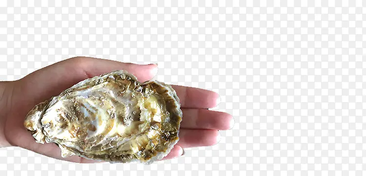 �����е����-������