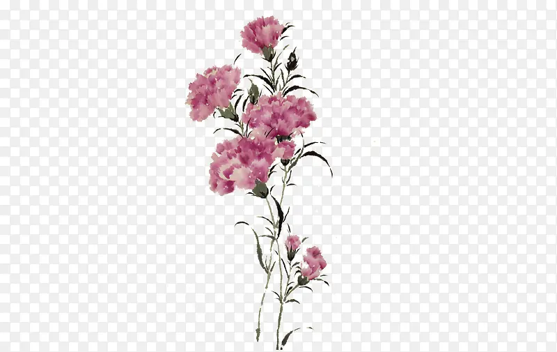 �ֻ濵��ܰ-������