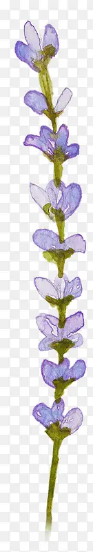 ޹�²�-������