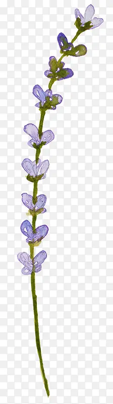 �ֻ�޹�²�-������