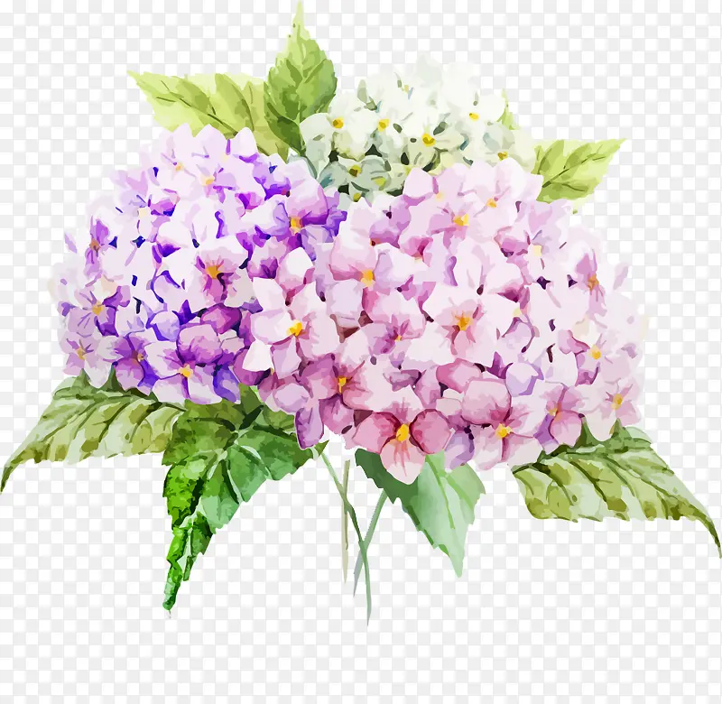 ��ɫ޹�²�-������