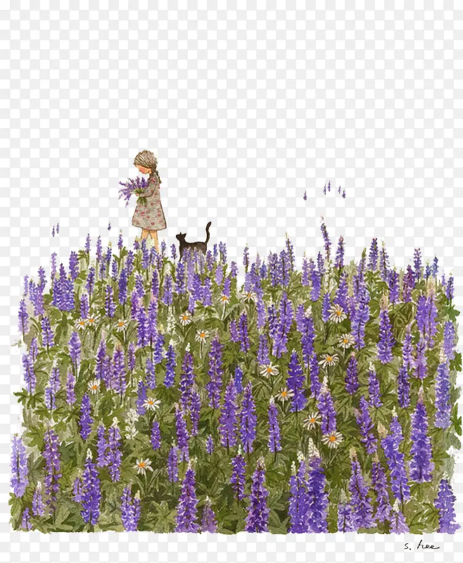 ��ɫ޹�²�-������