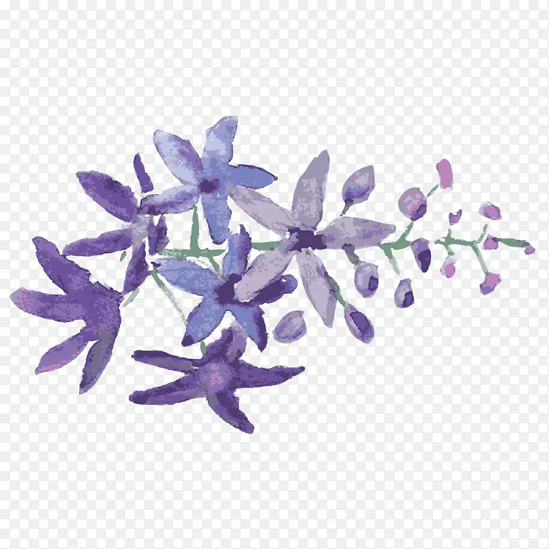 ޹�²�-������