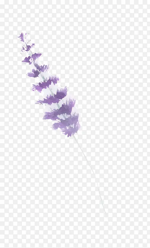 ޹�²�-������