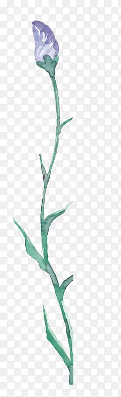 ޹�²�-������