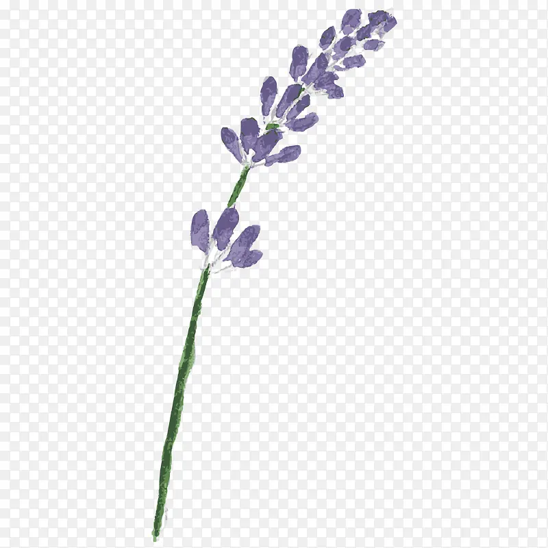 ޹�²�-������