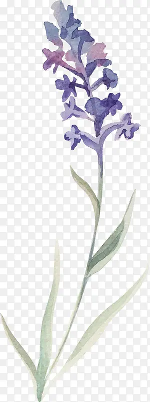 ޹�²�-������