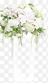 Ψ��õ�廨������Ӱ-������