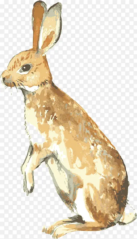 �ֻ�ɰ�С�ÿ�ͨ-������