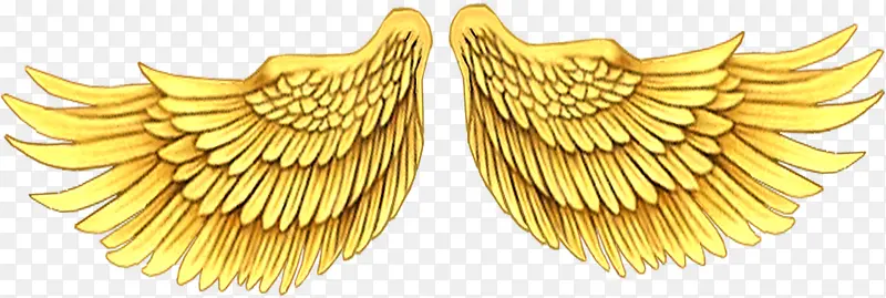 ��ɫ���ϲ�챳��-������