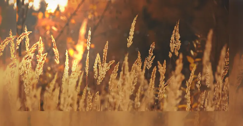 ���ⱳ��-������