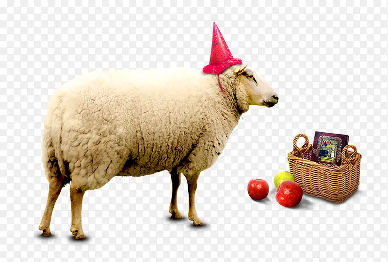 ����-������