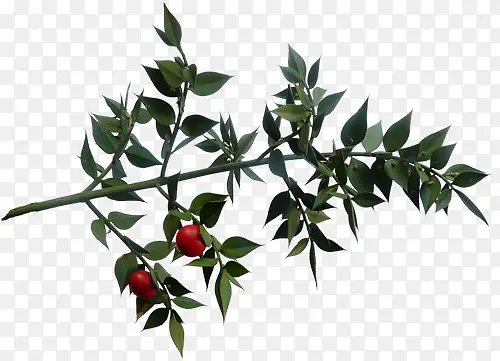 ɽ���ֲ��ͼƬ-������