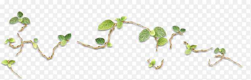 ��ƺ���ֲ������Ч�����-������