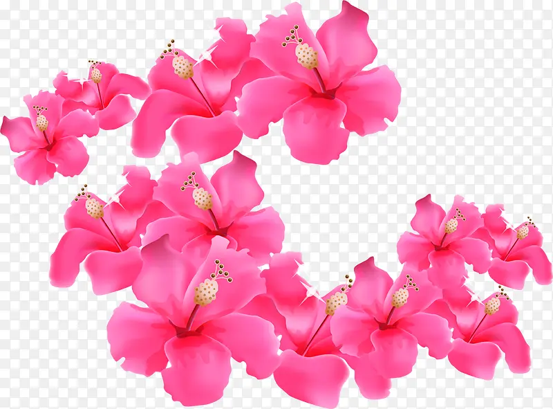 ��ƺ����������Ч��-������