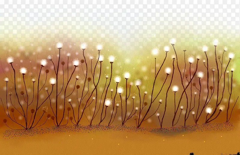 �����ǵ����Ч��-������