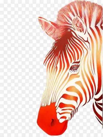 �廭-������