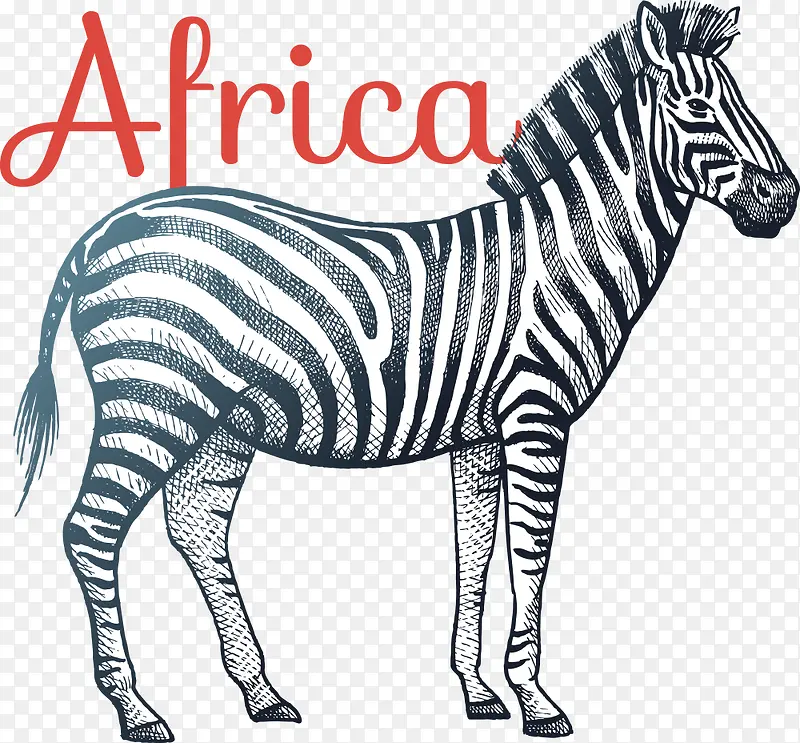 ʸ����ͨ�����廭-������