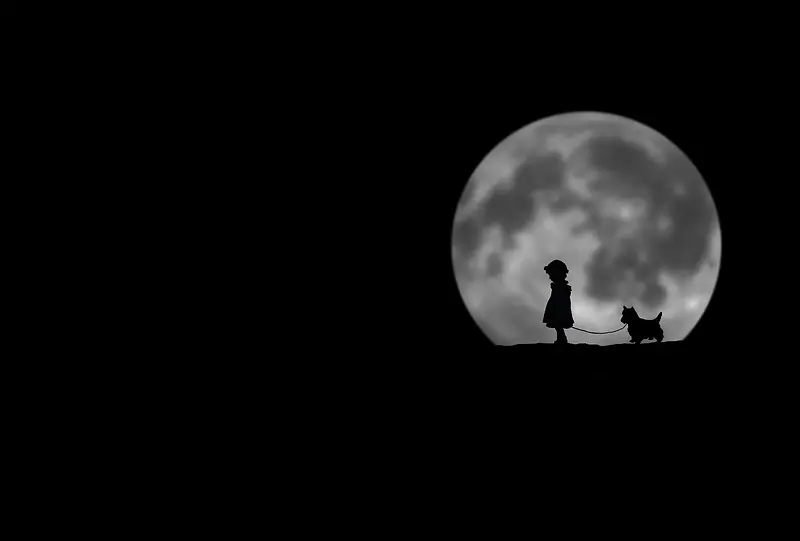 ����ʻ���������������-������