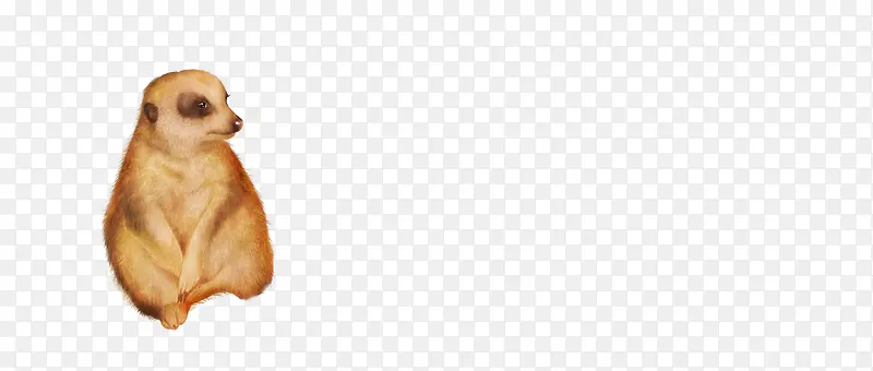 ����-������