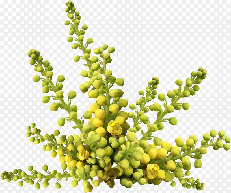 �ֻ��ʸг����������-������