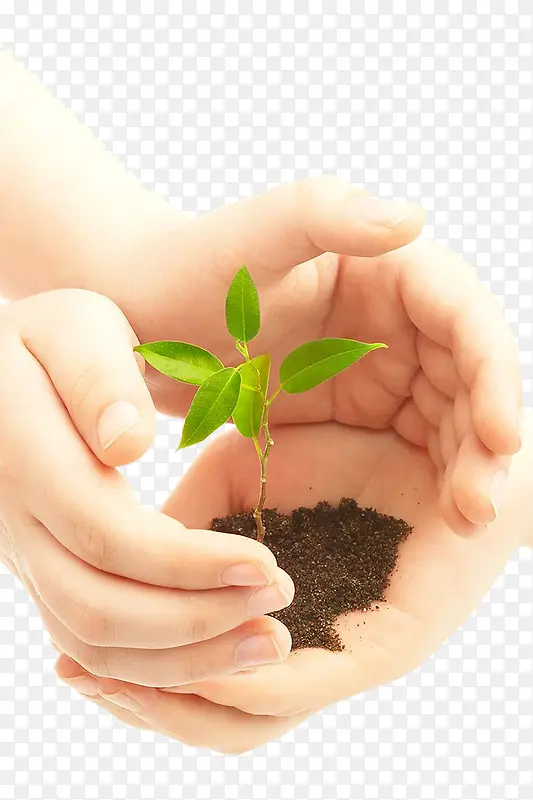 �ֲ�����-������