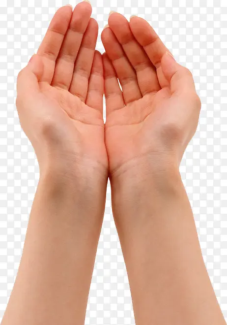 ������Ӱ�ֲ�����-������