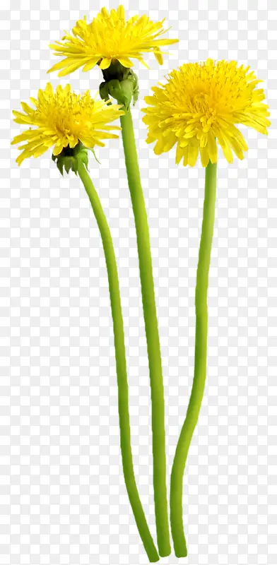 ������Ӱ��ɫ�Ͳ˻�-������