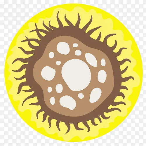 ��֢����ϸ��-������