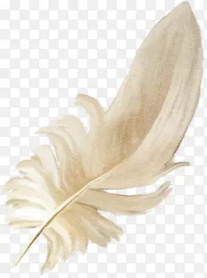 ������ë����ʸ��pngͼƬ-������