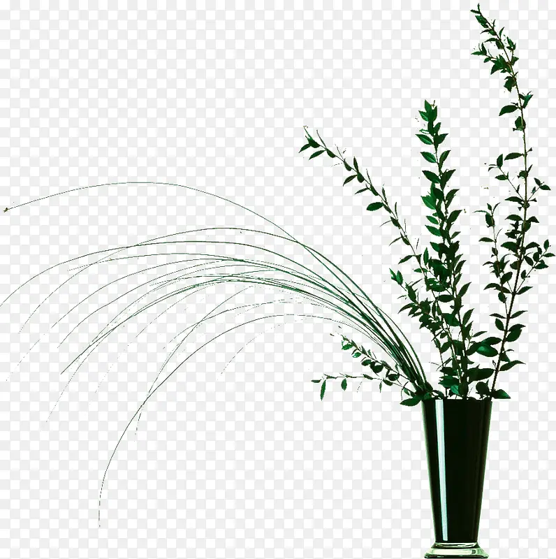 ʱ�м����廨-������