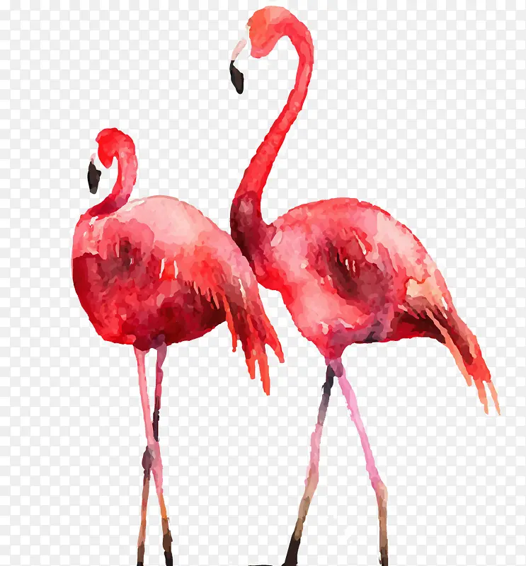 ˮ�ʻ�����-������