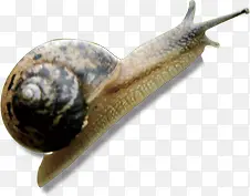 ����ɰ���ţ����-������