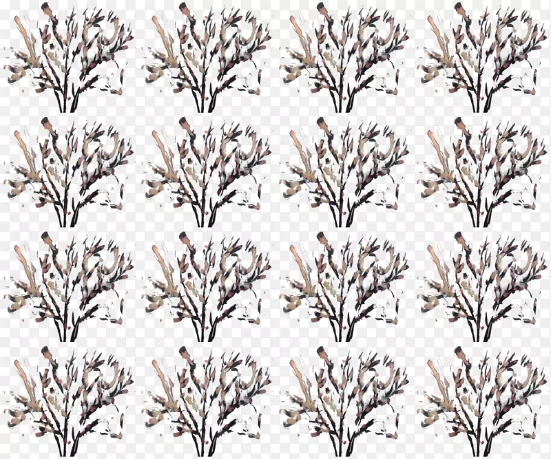 ��ɫ��Ӱ��ֲ�ﻨ��-������