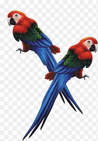 ����-������