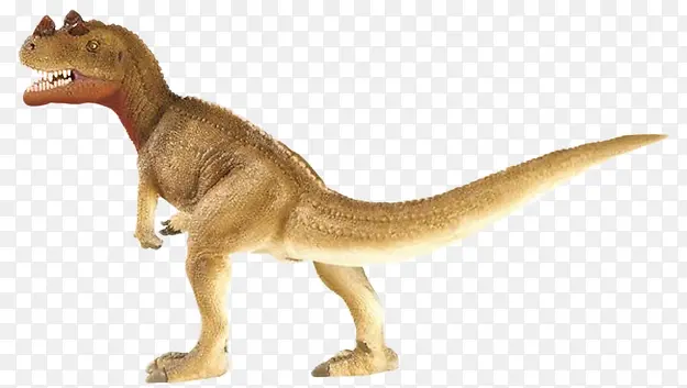 ����-������