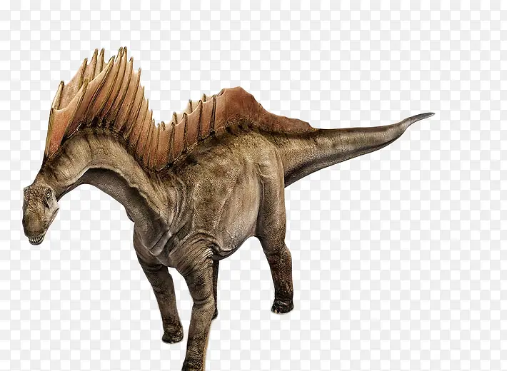 ����-������