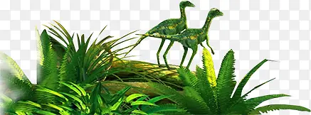 ����-������