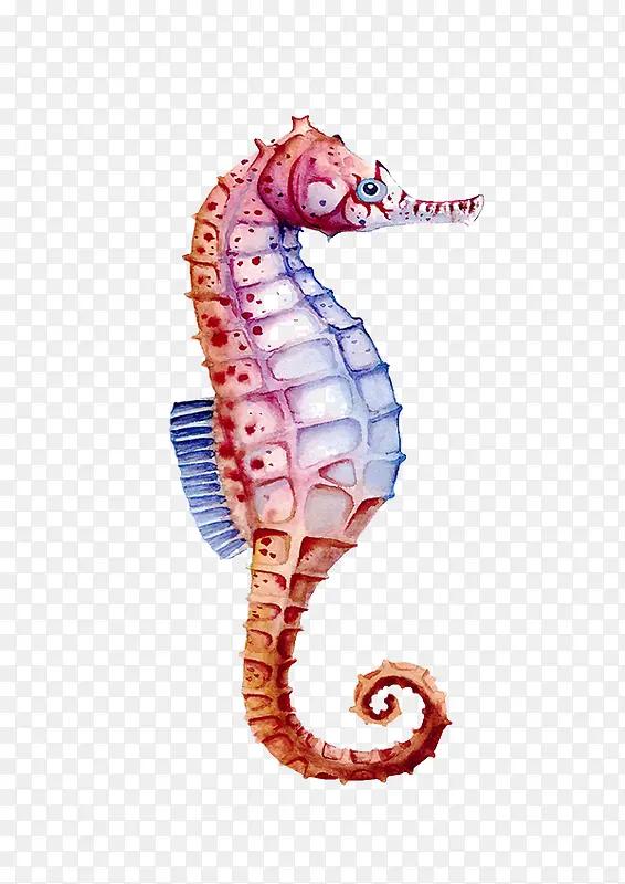 ��ɫ����-������