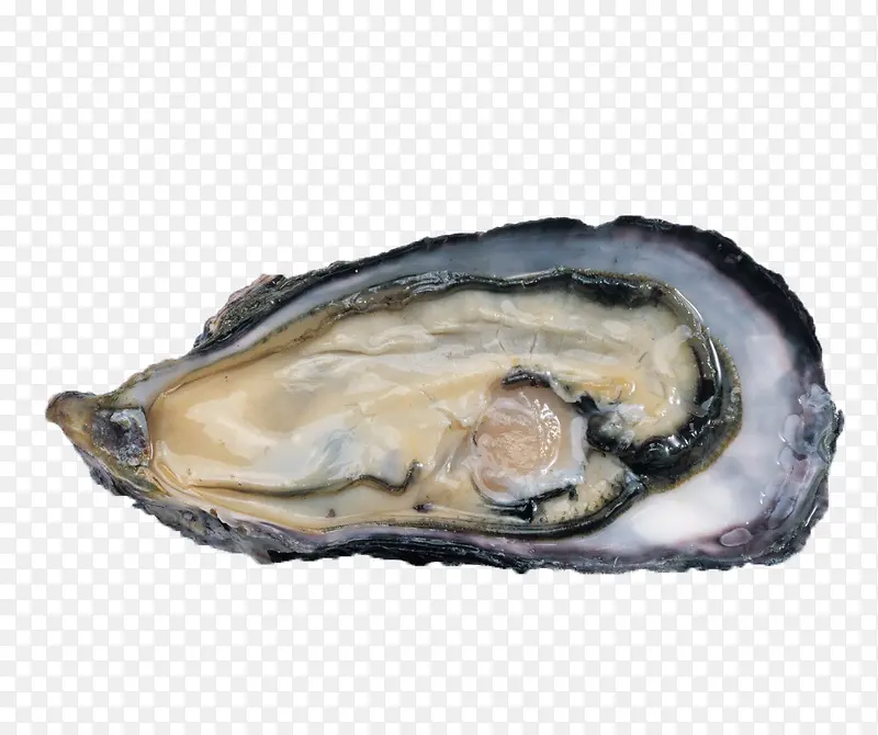 �������-������