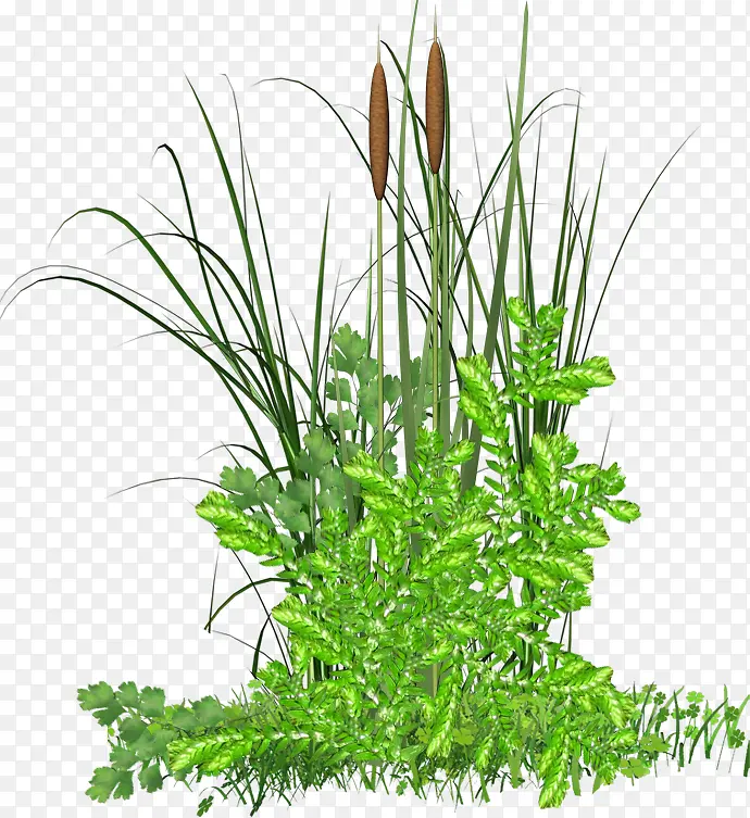 ��β�Ͳ�-������