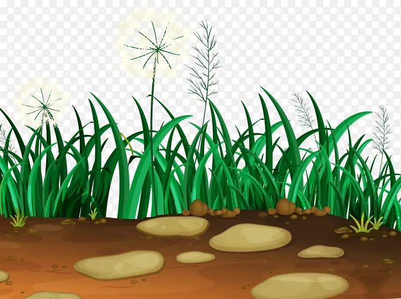 ����С��-������