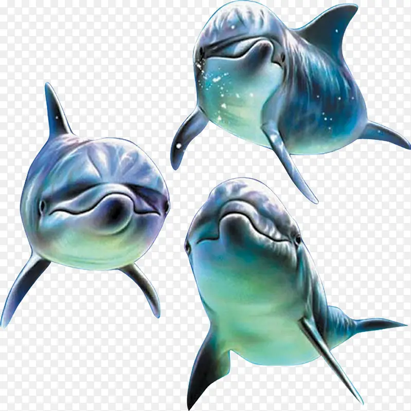 ������Ӱ�ֻ溣��Ч��-������