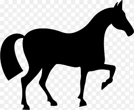 ��ɫ��ƥ�����ֻ�-������