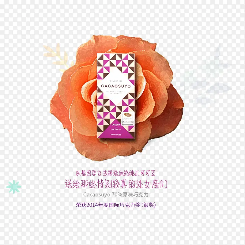 ��������ĳ�ɫõ��-������