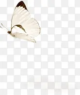 ��ɫС����-������