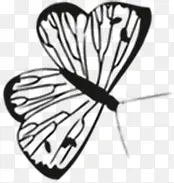 ��ɫ�ɰ��ſ����-������