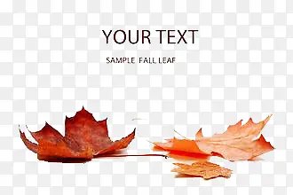 ����װ��-������